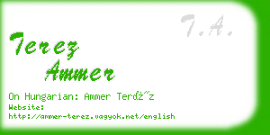 terez ammer business card